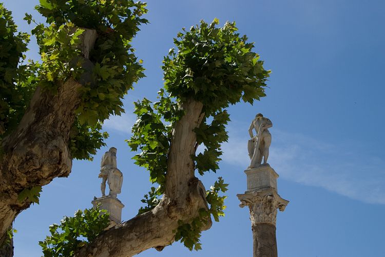 Alameda de Hercules (Andalusien - Sevilla)