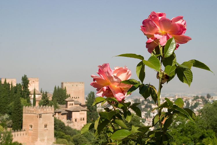 Generalife (Andalusien - Granada - Malaga)
