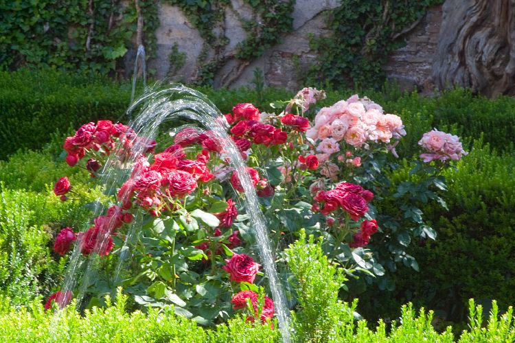 Generalife (Andalusien - Granada - Malaga)