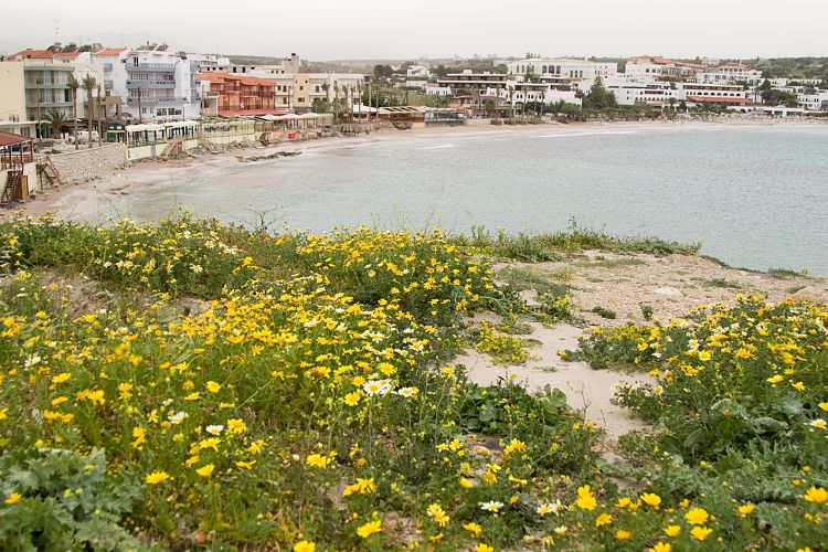 Chersonissos (Kreta - Fahrt zur Lassithi-Hochebene)