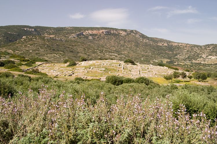 Gournia (Kreta - Fahrt nach Sitia und Ierapetra)