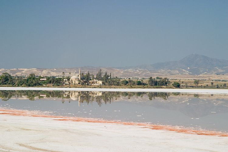 Salzsee - Chala Sultan Tekke (Zypern - Der Sden)