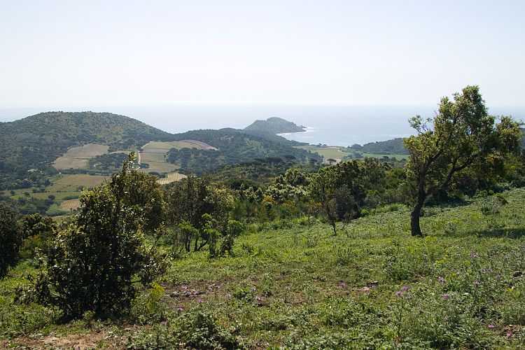 Cap Taillat (Cote d'Azur - Wanderung)