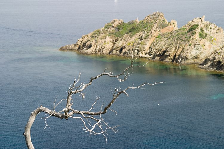 le de Port Cros (Cote d'Azur - Wanderung)