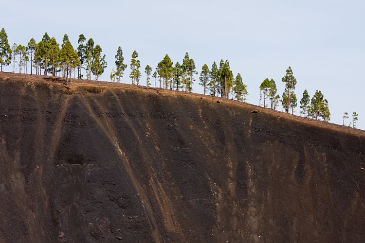 Beim Cruz de Tejeda (Gran Canaria - Roque Nublo)