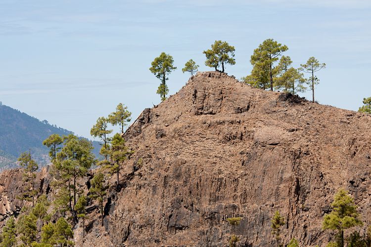 Cruz Grande - La Manzanilla (Gran Canaria - Cruz Grande)