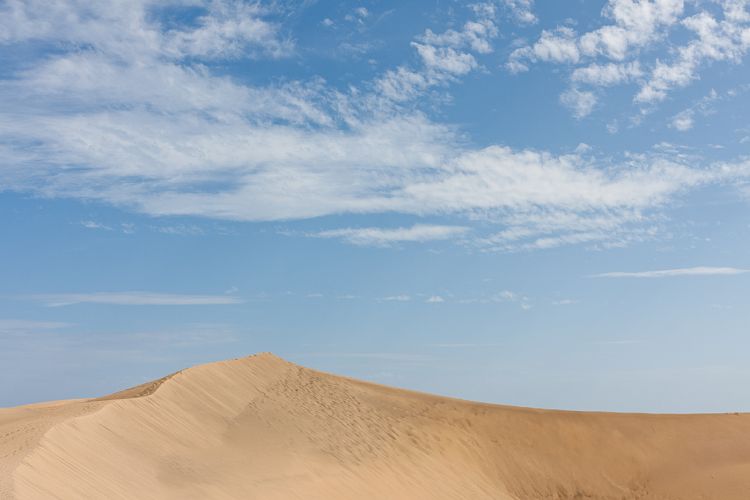 Dne bei Playa Ingls (Gran Canaria - Palmitos Park)