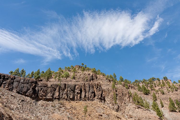 La Manzanilla - San Bartolom (Gran Canaria - Cruz Grande)