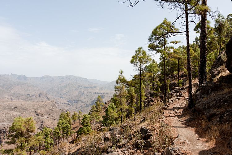 Montaa de Tauro (Gran Canaria - Montaa de Tauro)