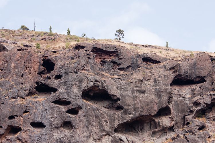 Montaa de Tauro (Gran Canaria - Montaa de Tauro)