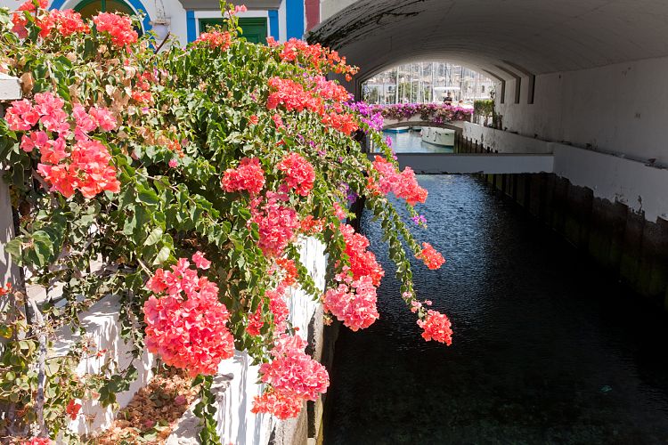 Puerto Mogn (Gran Canaria - Sdkste)