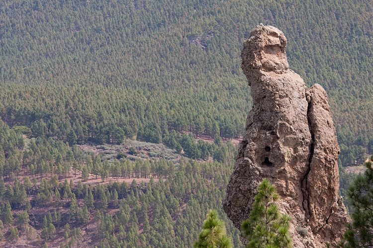 Roque Nublo (Gran Canaria - Roque Nublo)