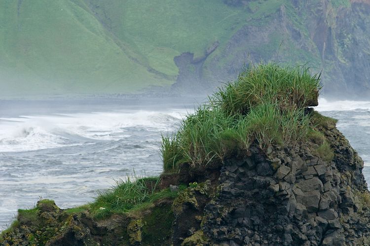 Dyrhlaey (Island - rsmrk - Skaftafell)