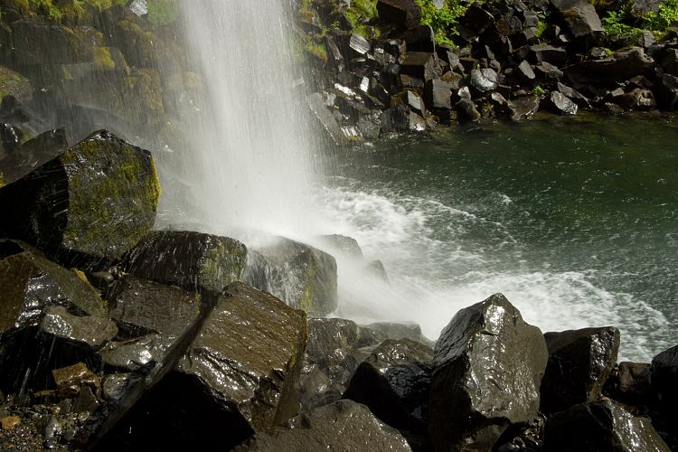 Svartifoss (Island - Skaftafell)