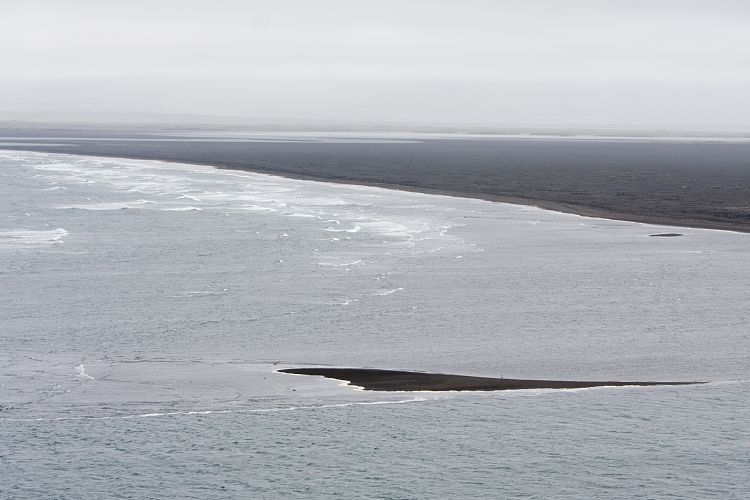 Hvtserkur (Island - Borgarnes - Myvatn)