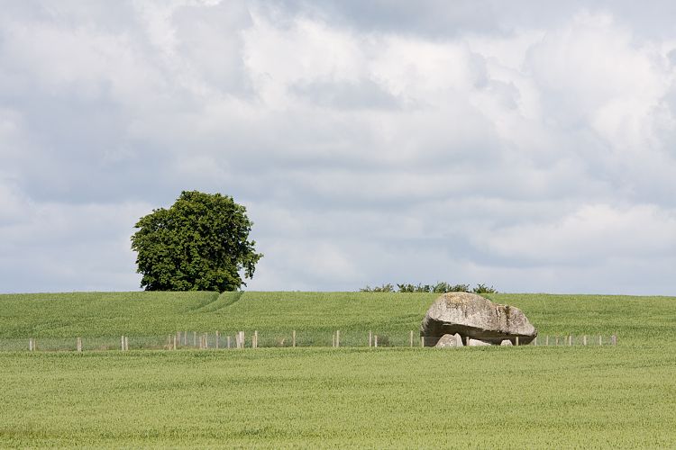 Brownes Hill Dolmen (Irland - Kilkenny - Dublin)