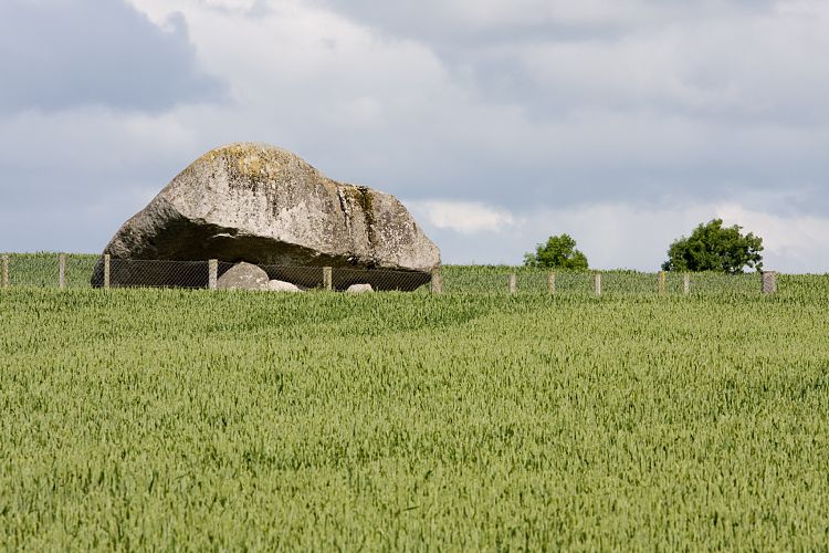 Brownes Hill Dolmen (Irland - Kilkenny - Dublin)