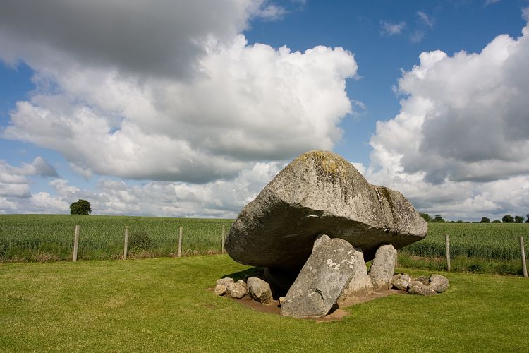 Brownes Hill Dolmen (Irland - Kilkenny - Dublin)