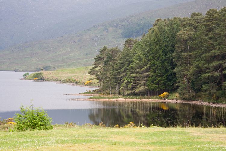 Glenveagh Castle (Irland - Bushmills - Killybegs)