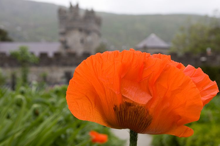 Glenveagh Castle (Irland - Bushmills - Killybegs)