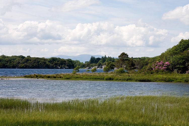 Killarney National Park (Irland - Dingle - Killarney)