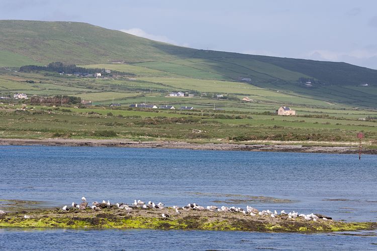 Ring of Skellig (Irland - Killarney - Kenmare)