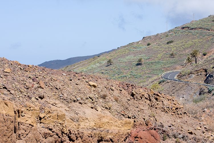 Alojera (La Gomera - 20081015)