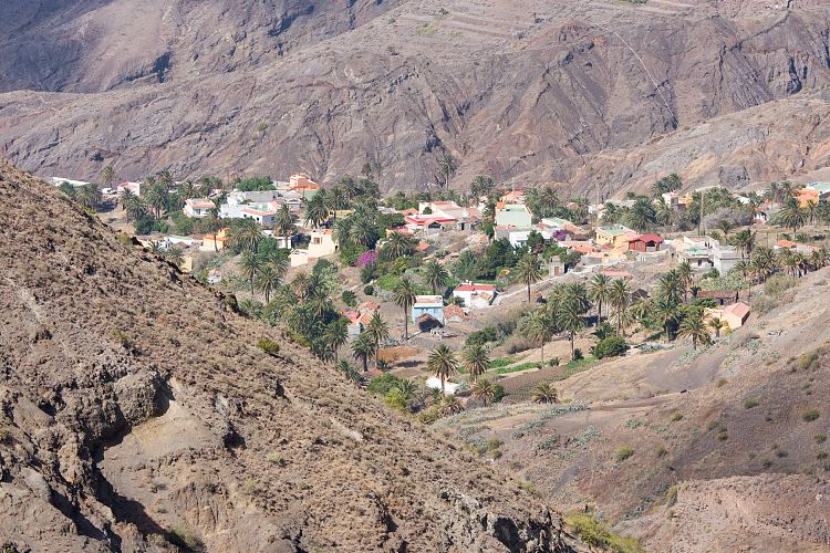 Alojera (La Gomera - 20081015)