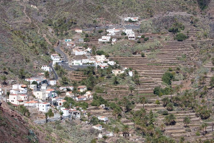 Imada (La Gomera - 20081017)