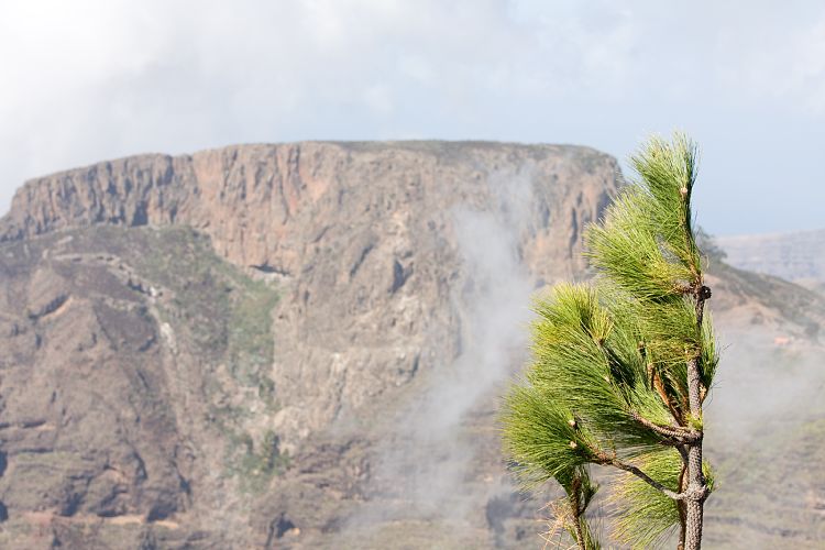 Mirador de Igualero (La Gomera - 20081017)