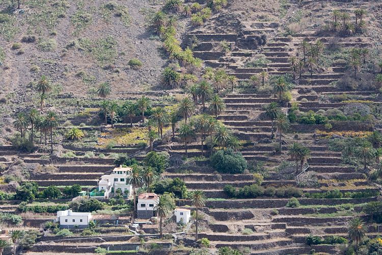 Valle Gran Rey (La Gomera - 20081018)