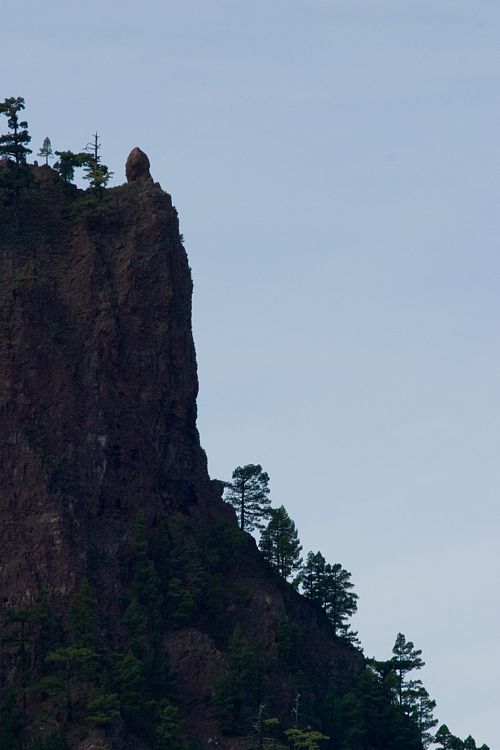 Cumbrecita (La Palma - 20031211)