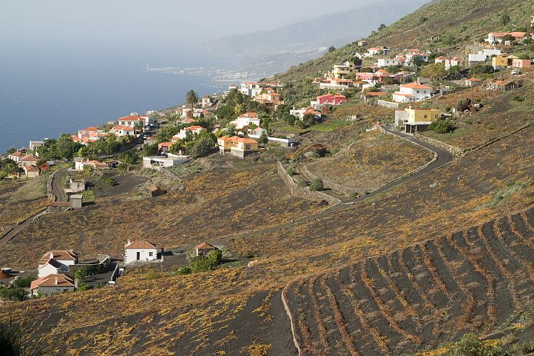 Wanderung zum Faro de Fuencaliente (La Palma - 20031213)