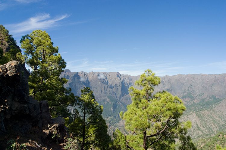Wanderung zum Pico Bejenado (La Palma - 20031215)