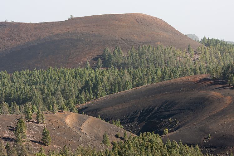 Aufstieg zum Birigoyo (La Palma - Pico Birigoyo)