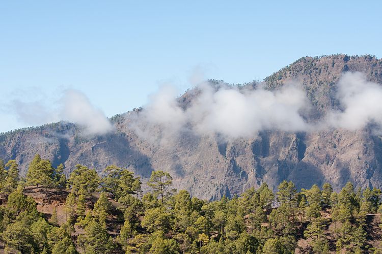 Cumbrecita (La Palma - Cumbrecita)