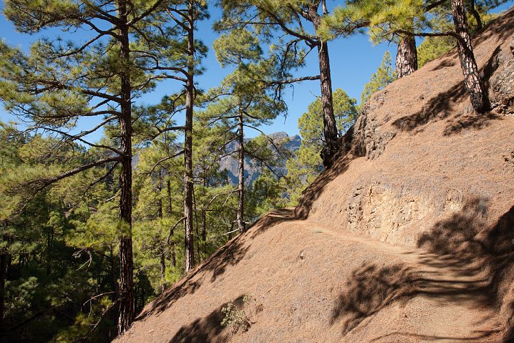 Cumbrecita (La Palma - Cumbrecita)