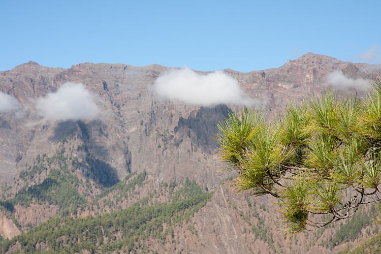 Cumbrecita (La Palma - Cumbrecita)