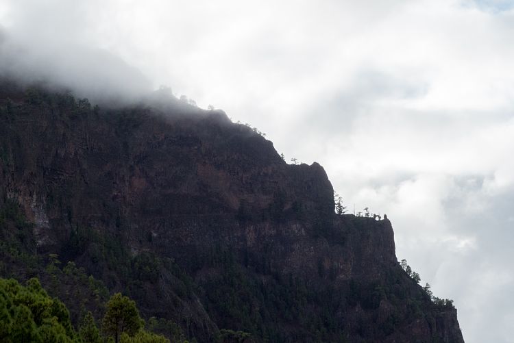 Cumbrecita (La Palma - Sden und Westen)