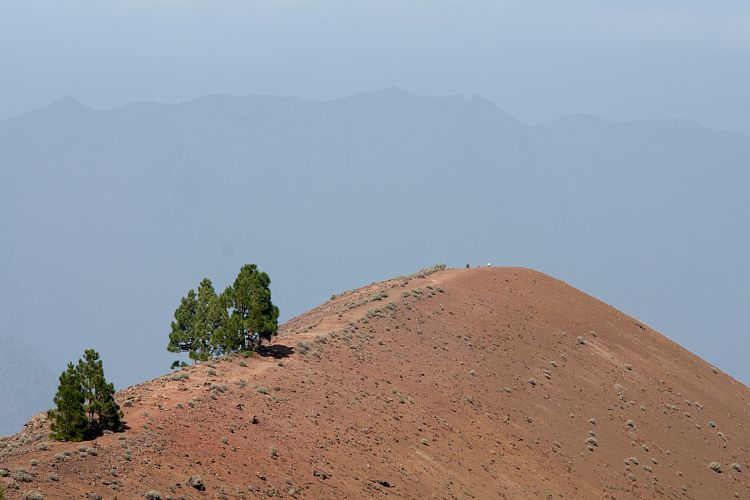 Gipfel des Birigoyo (La Palma - Pico Birigoyo)