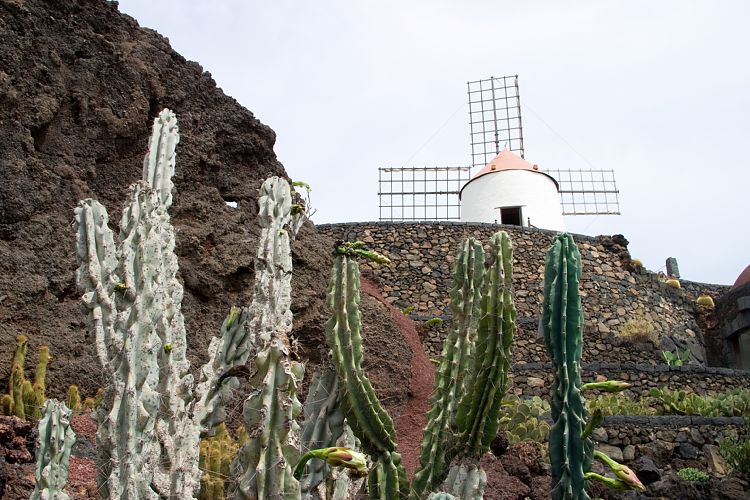 Jardin de Cactus (Lanzarote - Manrique-Tour)