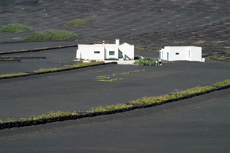 La Geria (Lanzarote - Der Norden)