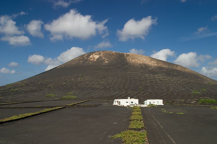 La Geria (Lanzarote - Der Norden)