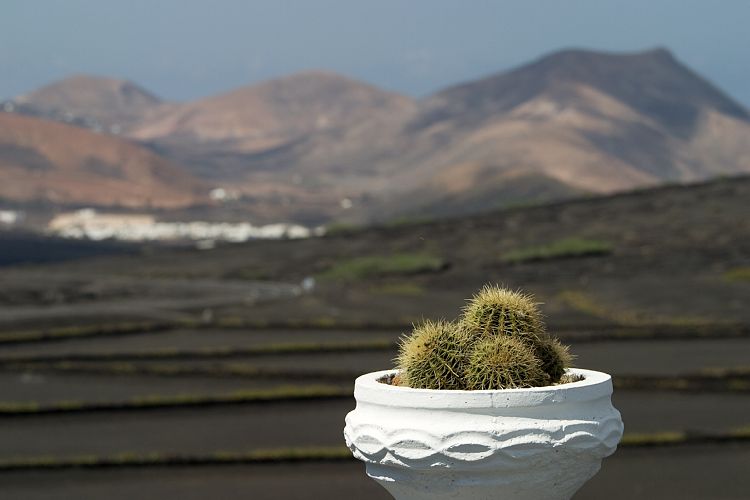 La Geria (Lanzarote - Der Norden)