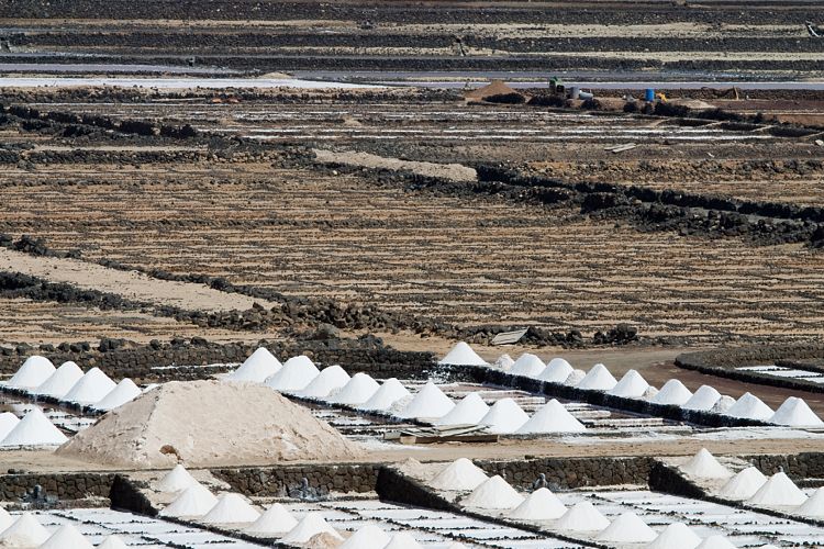 Salinas de Janubio (Lanzarote - Der Sdwesten)