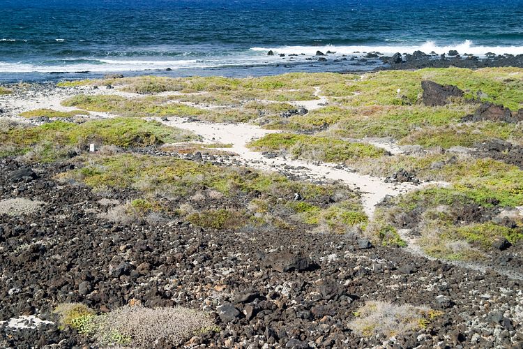 Strnde bei Orzola (Lanzarote - Der Norden)
