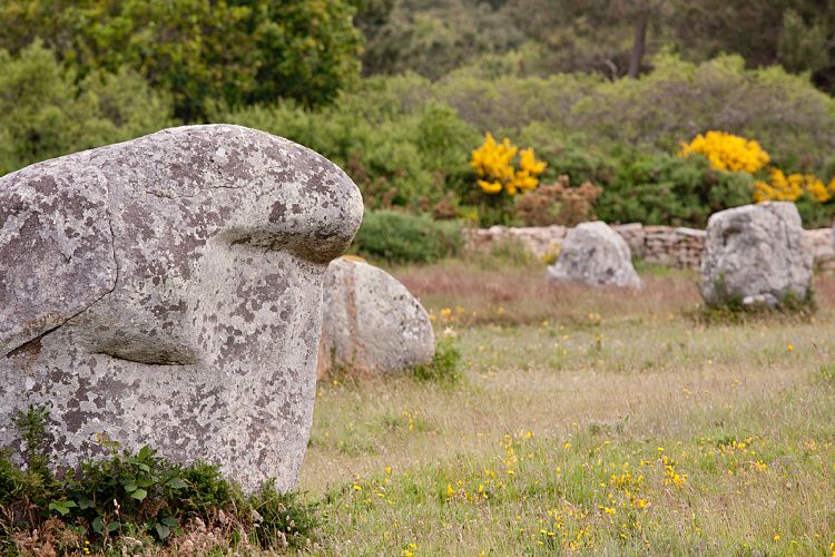 Carnac (Frankreich - Carnac)