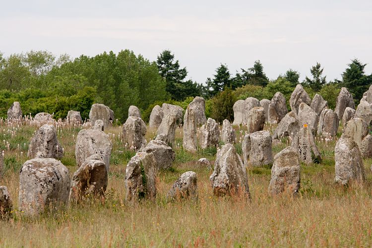 Carnac (Frankreich - Carnac)