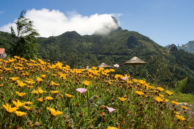 Bei Serra de Agua (Madeira - Rabacal)