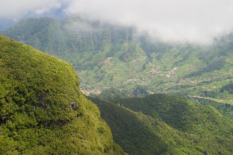 Bica da Cana (Madeira - Paul da Serra)